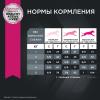 Eukanuba Adult Toy Breed 1+ years Корм сухой для взрослых собак миниатюрных пород от года и старше