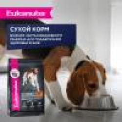 Eukanuba Adult All Breed (для взрослых собак всех пород старше 1 года, с ягненком в соусе) 100г