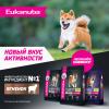 Eukanuba Adult Large Breed (для взрослых собак крупных и очень крупных пород от года и старше, с ягненком)