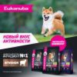 Eukanuba Adult Large Breed (для взрослых собак крупных и очень крупных пород от года и старше, с ягненком)