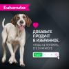 Eukanuba Adult Large Breed (для взрослых собак крупных и очень крупных пород от года и старше, с ягненком)