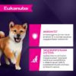 Eukanuba Puppy Breed (для щенков мелких и средних пород до 12 месяцев с ягненком)