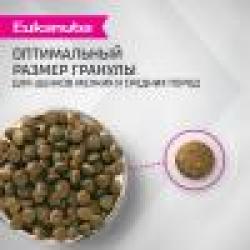Eukanuba Puppy Breed (для щенков мелких и средних пород до 12 месяцев с ягненком)