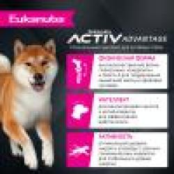 Eukanuba Adult Breed (для взрослых собак мелких и средних пород старше 1 года с ягненком)