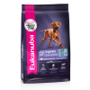 Eukanuba Puppy Large Breed Корм сухой для щенков крупных и очень крупных пород 