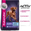 Eukanuba Puppy Large Breed Корм сухой для щенков крупных и очень крупных пород 