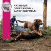 Eukanuba Senior Large Breed 7+ years Корм сухой для пожилых собак крупных и очень крупных пород старше 7 лет