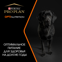 Pro Plan Adult Original Chicken Rice (для взрослых собак средних пород, курица с рисом)