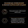 Pro Plan Adult Optirenal (сухой корм для кошек с высоким содержанием курицы)