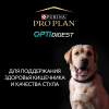 Pro Plan Adult Sensitive Digestion Small & Mini (для взрослых, мелких пород с чувствительным пищеварением с ягненком и рисом)