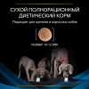 Pro Plan Veterinary Diets DRM Dermatosis (сухой корм для собак при при дерматозах и выпадении шерсти)