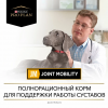 Pro Plan Veterinary Diets JM Joint Mobility (сухой корм собакам для поддержания здоровья суставов и хрящей)