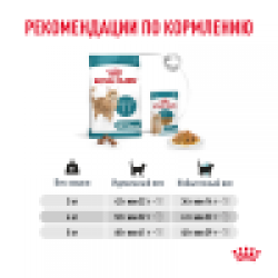 Royal Canin Ageing 11+ (для кошек старше 11 лет)