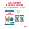 Royal Canin Ageing 11+ (для кошек старше 11 лет)
