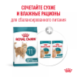 Royal Canin Ageing 11+ (для кошек старше 11 лет)