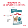 Royal Canin Ageing 11+ (для кошек старше 11 лет)