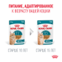 Royal Canin Ageing 11+ 85гр x 12шт (желе для кошек старше 11 лет)