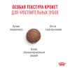 Royal Canin Ageing 15+ (для кошек старше 15 лет)