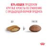 Royal Canin Ageing 15+ (для кошек старше 15 лет)