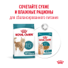 Royal Canin Ageing 15+ (для кошек старше 15 лет)