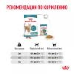 Royal Canin Ageing 15+ (для кошек старше 15 лет)
