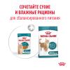 Royal Canin Ageing 15+ 85г х 12шт (соус для кошек старше 15 лет) 