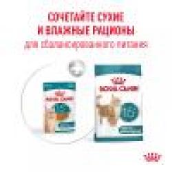 Royal Canin Ageing 15+ 85г х 12шт (соус для кошек старше 15 лет) 