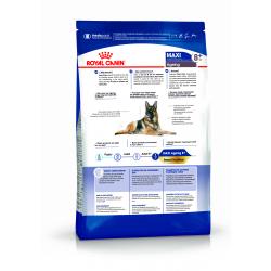 Royal Canin Maxi Ageing 8+ Корм сухой для стареющих собак крупных размеров от 8 лет и старше
