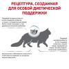 Royal Canin Anallergenic AN 24 Feline Корм сухой диетический для кошек при сильной пищевой аллергии