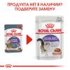 Royal Canin Appetite Control Care Корм консервированный для взрослых кошек - для контроля выпрашивания корма, в соусе 12х0,85г