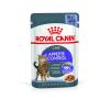 Royal Canin Appetite Control Care Корм консервированный для взрослых кошек - для контроля выпрашивания корма, в желе 12х0,85 г