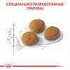Royal Canin Aroma Exigent Корм сухой сбалансированный для привередливых взрослых кошек от 1 года