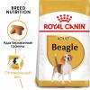 Royal Canin Beagle Adult Корм для взрослых и стареющих собак породы бигль в возрасте 12 месяцев и старше, 3 кг