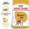 Royal Canin Boxer Adult Корм сухой для взрослых и стареющих собак породы боксер от 15 месяцев, 12 кг