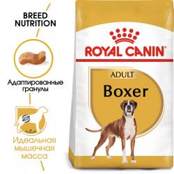 Royal Canin Boxer Adult Корм сухой для взрослых и стареющих собак породы боксер от 15 месяцев, 12 кг
