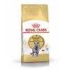 Royal Canin British Shorthair Adult Корм сухой сбалансированный для взрослых британских короткошерстных кошек