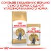 Royal Canin British Shorthair Adult Корм сухой сбалансированный для взрослых британских короткошерстных кошек