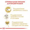 Royal Canin British Shorthair Adult Корм сухой сбалансированный для взрослых британских короткошерстных кошек