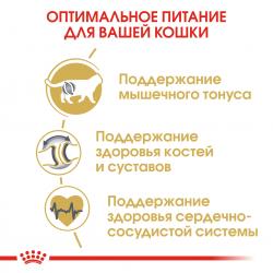 Royal Canin British Shorthair Adult Корм сухой сбалансированный для взрослых британских короткошерстных кошек