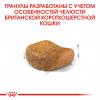 Royal Canin British Shorthair Adult Корм сухой сбалансированный для взрослых британских короткошерстных кошек