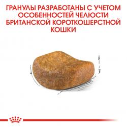 Royal Canin British Shorthair Adult Корм сухой сбалансированный для взрослых британских короткошерстных кошек
