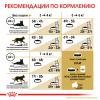 Royal Canin British Shorthair Adult Корм сухой сбалансированный для взрослых британских короткошерстных кошек