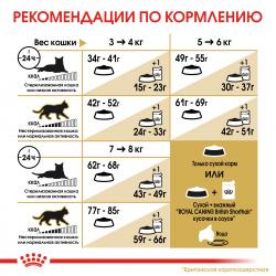 Royal Canin British Shorthair Adult Корм сухой сбалансированный для взрослых британских короткошерстных кошек