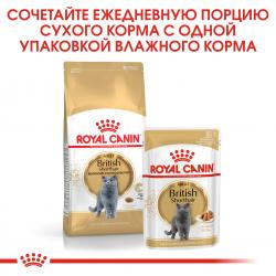 Royal Canin British Shorthair Adult Корм консервированный для взрослых британских короткошерстных кошек,соус, 85г