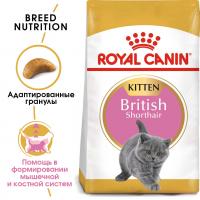 Royal Canin British Shorthair Kitten Корм сухой сбалансированный для британских короткошерстных котят