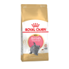 Royal Canin British Shorthair Kitten Корм сухой сбалансированный для британских короткошерстных котят