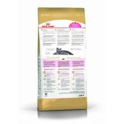 Royal Canin British Shorthair Kitten Корм сухой сбалансированный для британских короткошерстных котят