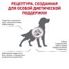 Royal Canin Cardiac EC 26 Canine Корм сухой диетический для взрослых собак для поддержания функции сердца, 2 кг