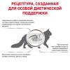 Royal Canin Gastrointestinal Hairball Корм для взрослых кошек при нарушениях пищеварения, сухой диетический