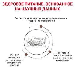 Royal Canin Gastrointestinal Hairball Корм для взрослых кошек при нарушениях пищеварения, сухой диетический